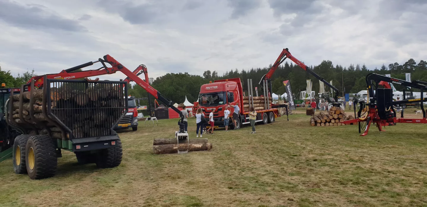 DEMO Forest