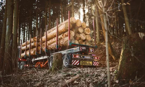 Transport forestier DOLL