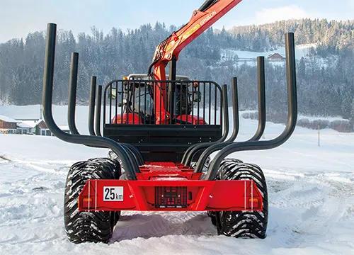 STEPA-grue-forestiere.jpg